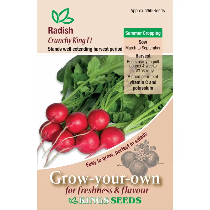 Kings Seeds Radish Crunchy King F1 Seeds