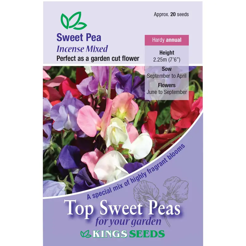 Kings Seeds Sweet Pea Incense Mixed - 20 Seed