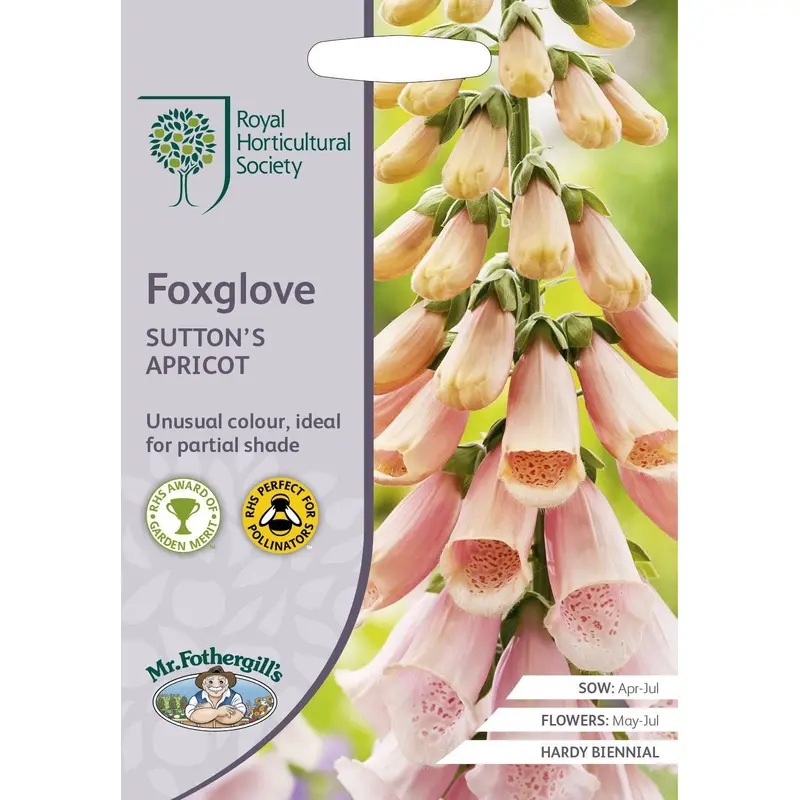 Mr Fothergills RHS Foxglove Sutton's Apricot 2500 Seeds