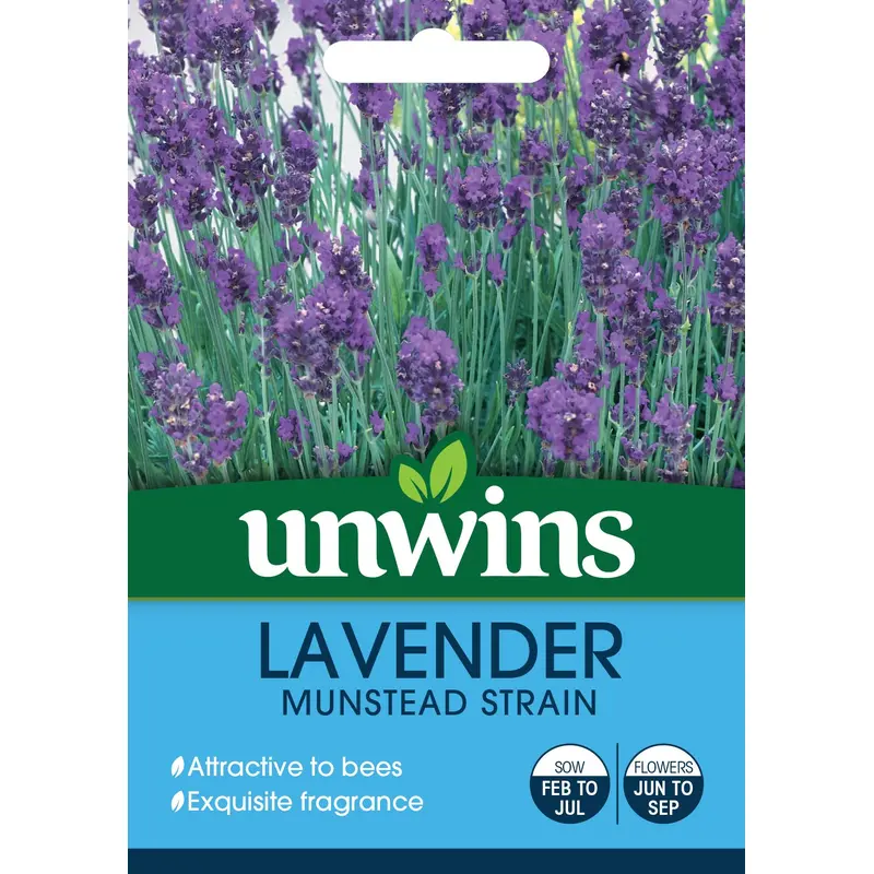Unwins Lavender Munstead Strain 150 Seeds