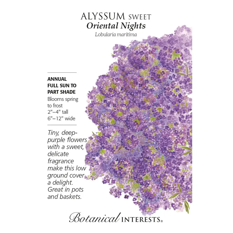 Alyssum, Sweet Oriental Nights Botanical Interests Seeds