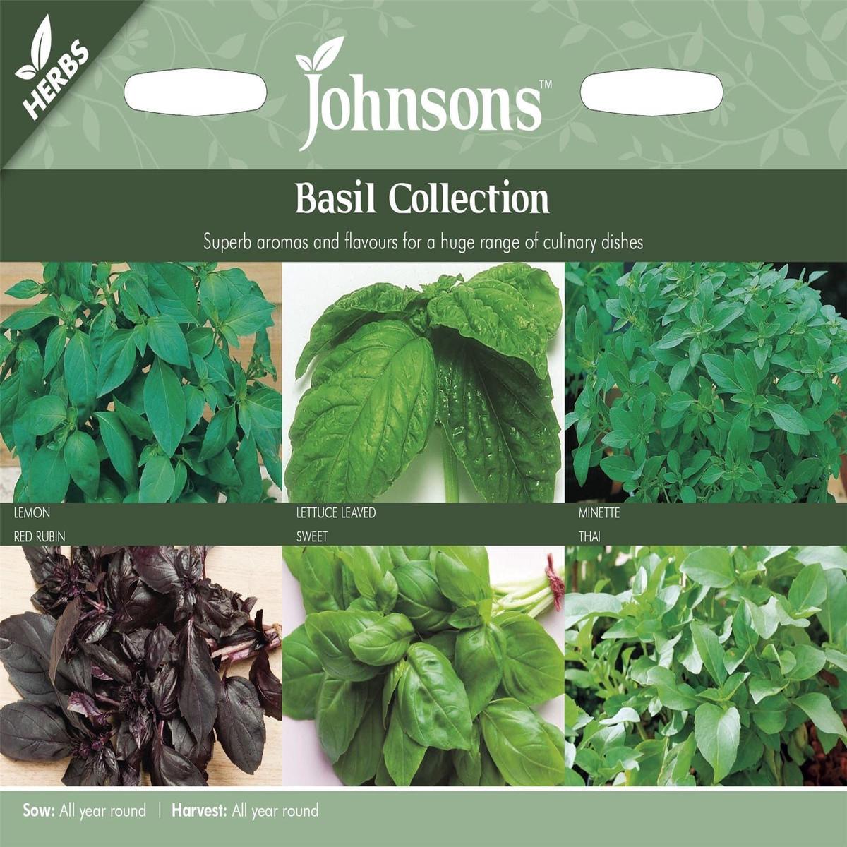 Johnsons Basil Collection