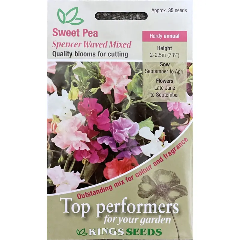 Kings Seeds Sweet Pea Spencer Waved Mixed 35 Seeds