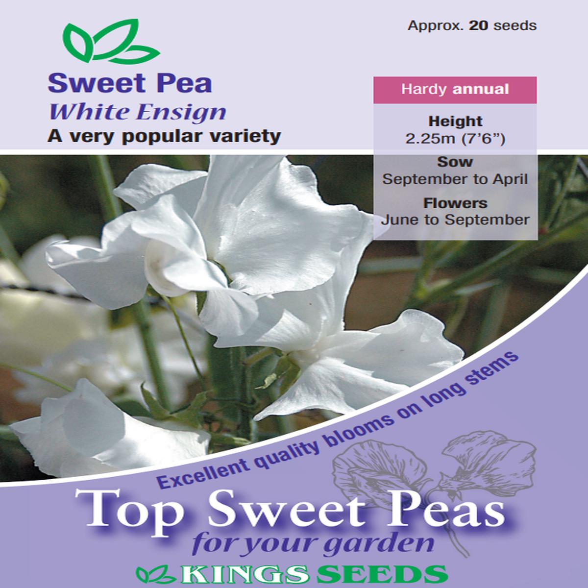 Kings Seeds Sweet Pea White Ensign 20 Seeds