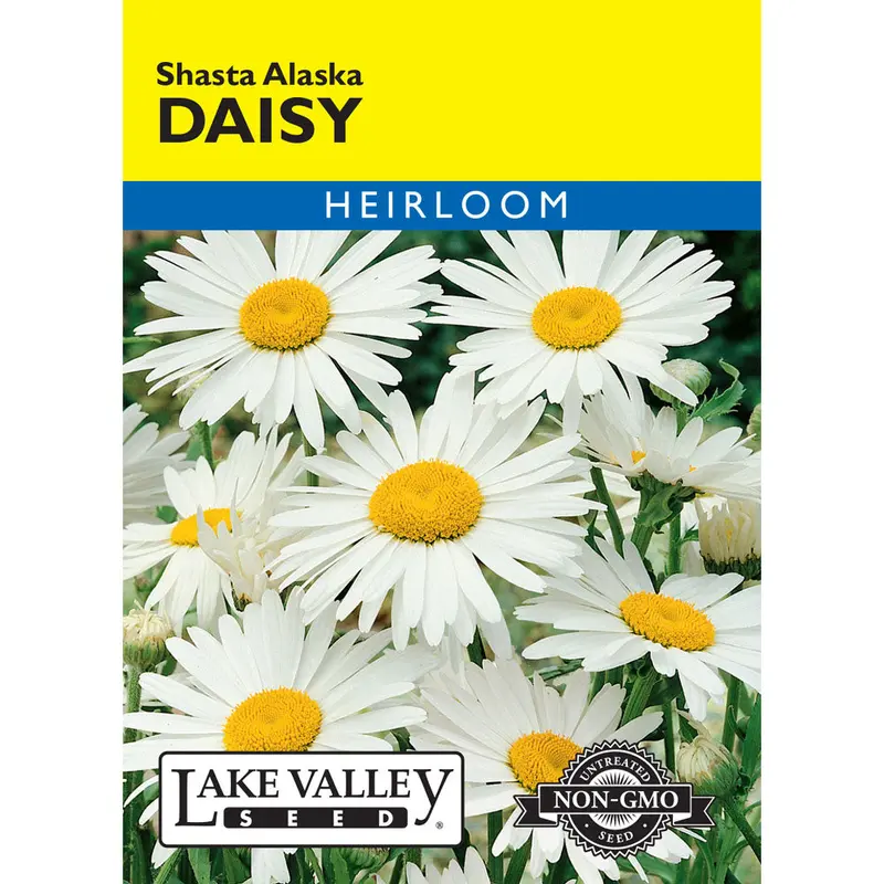 Lake Valley, Daisy Shasta, Alaska