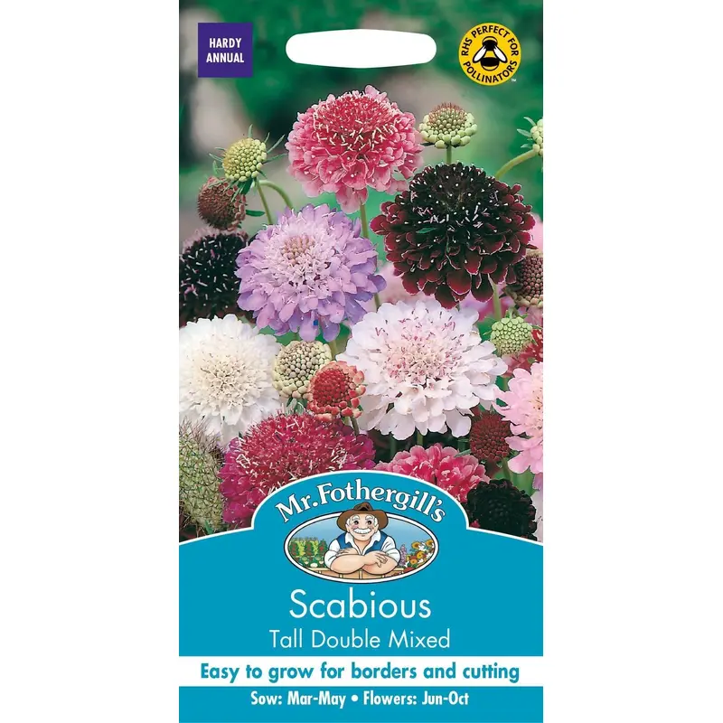 Mr Fothergills Scabious Tall Double Mixed 50 Seeds