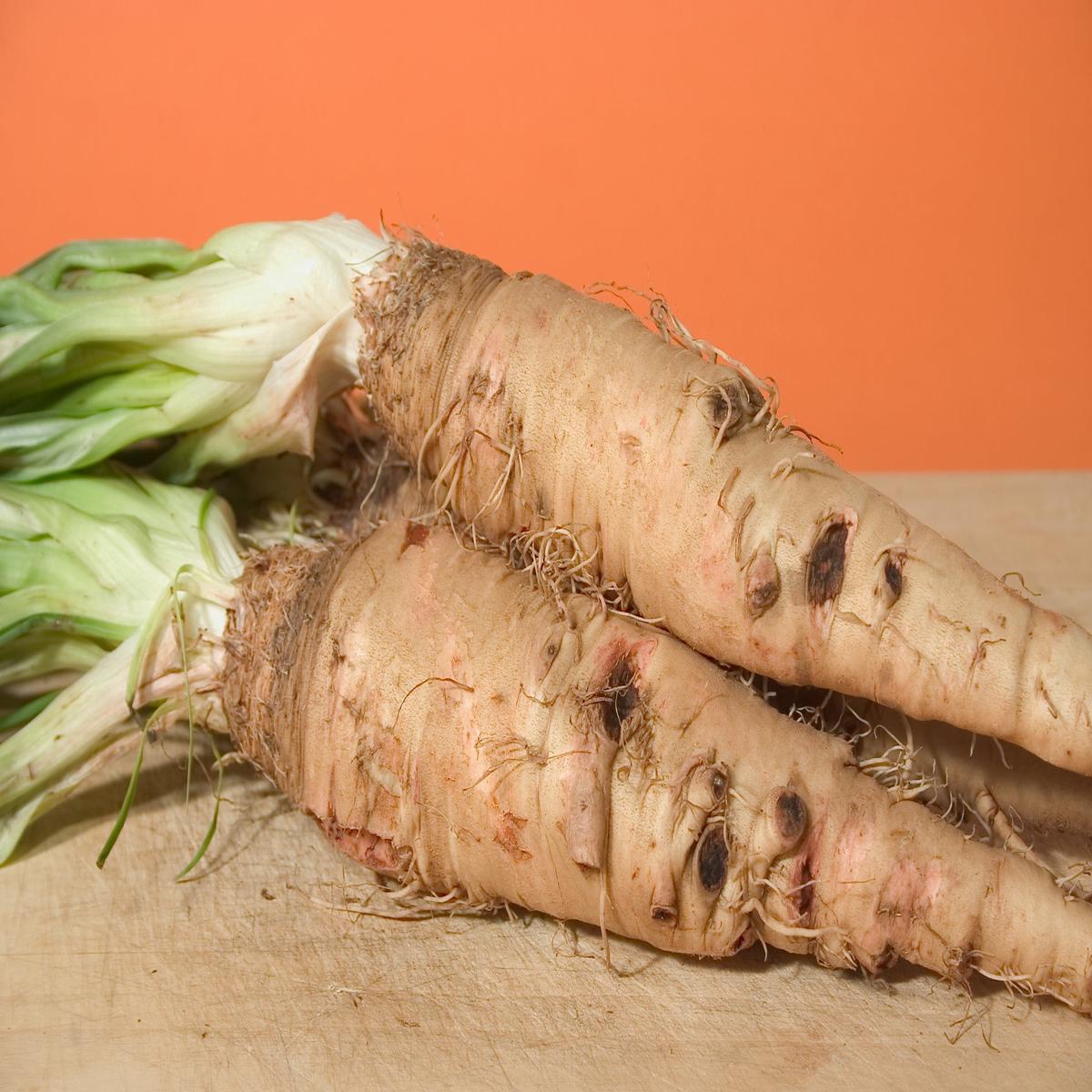 Salsify Sandwich Island Seeds