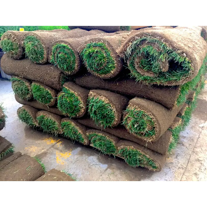 Sod Rolls-2' x 5'