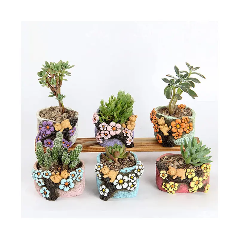 Teddy Bear Succulent Pot