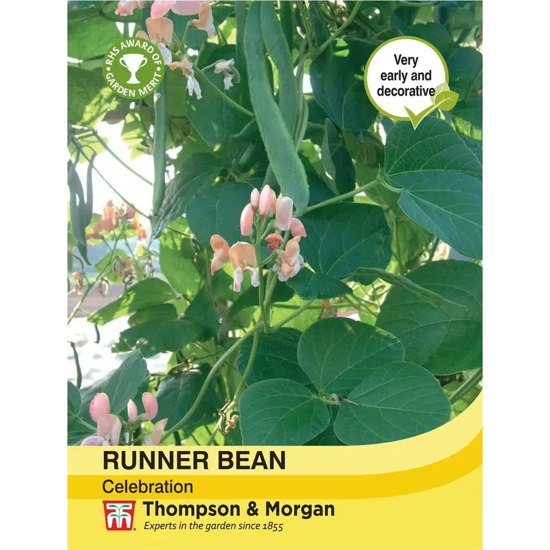 Thompson & Morgan Runner Bean Celebration 40 Seed