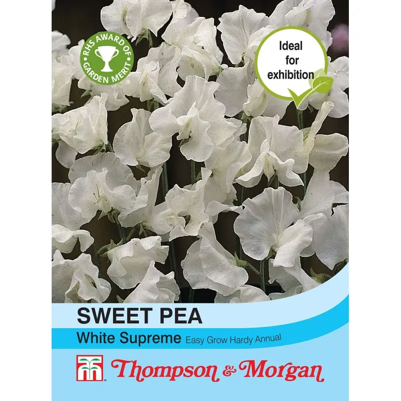 Thompson & Morgan Sweet Pea White Supreme 20 Seed