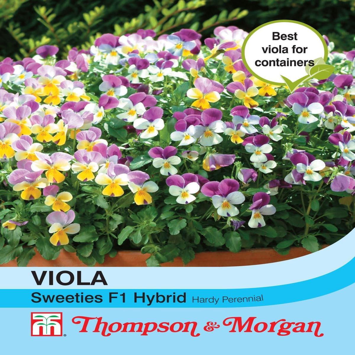 Thompson & Morgan Viola Sweeties F1 Hybrid 25 Seed