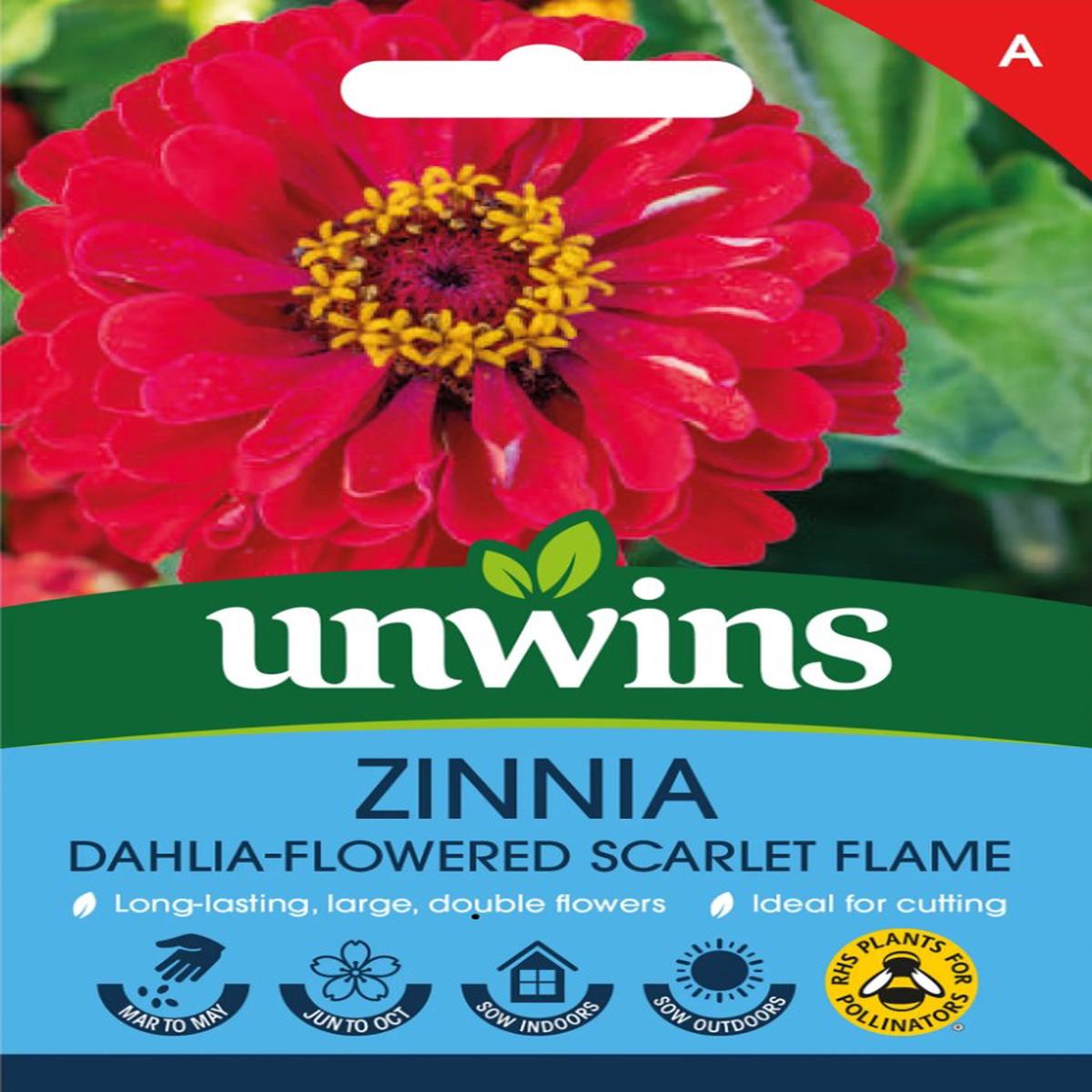 Unwins Zinnia Dahlia-Flowered Scarlet Flame 75 Seeds  Large Double Blooms