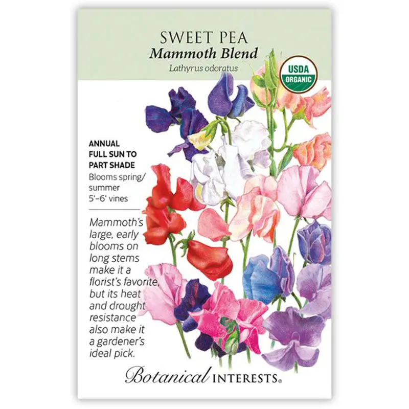 Botanical Interests, Sweet Pea, Mammoth