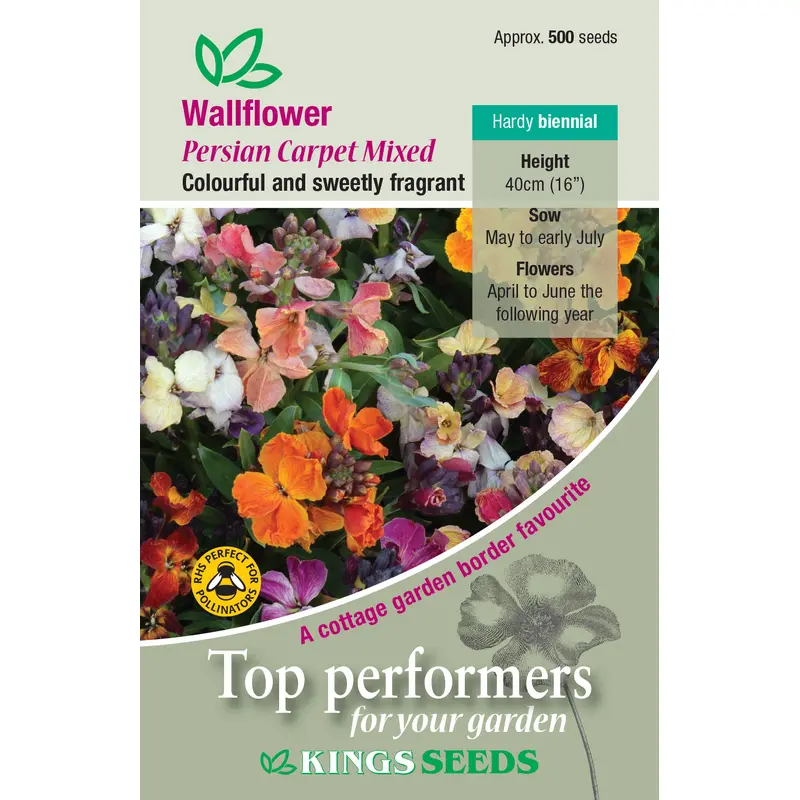 Kings Seeds Wallflower Persian Carpet Mixed 500 Seeds
