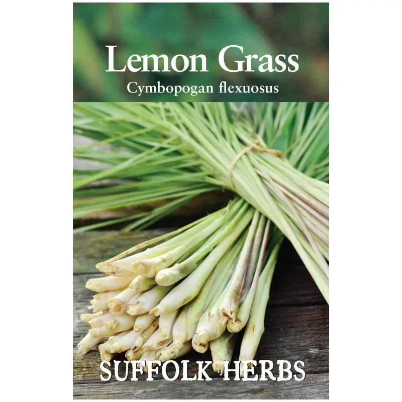 Suffolk Herbs Lemon Grass 125 Seeds