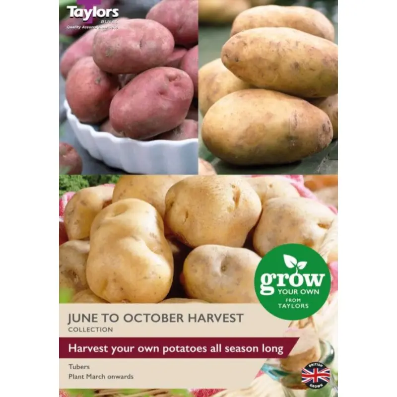 Taylors July to October Seed Potatoes Collection - 3 Types