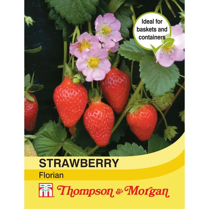 Thompson & Morgan Strawberry Florian F1 Seed