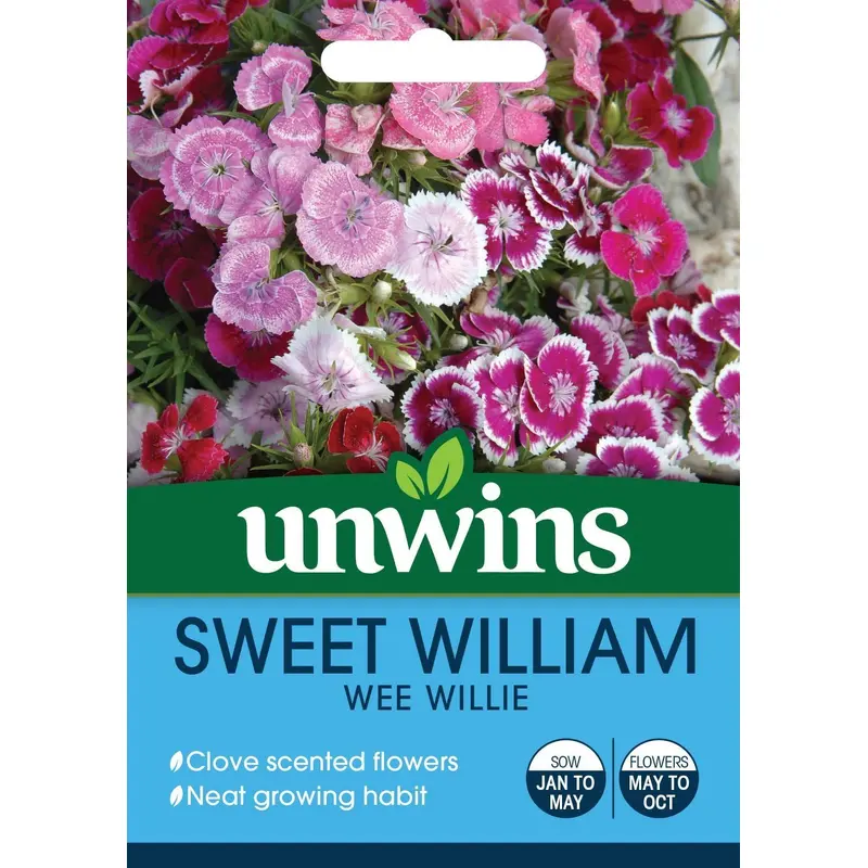Unwins Sweet William Wee Willie 500 Seeds