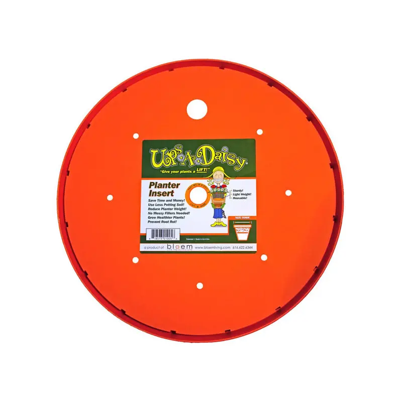 Ups-A-Daisy, 15"