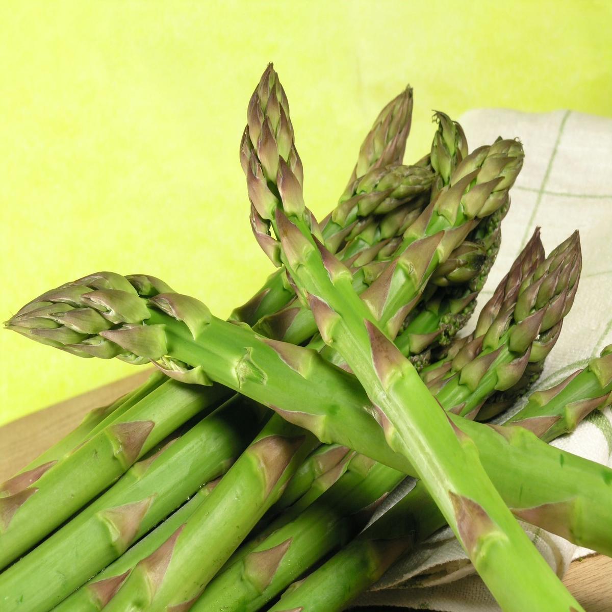 Asparagus Connovers Colossal Seeds | Early Harvest Heirloom Variety