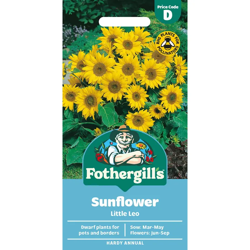 Fothergills Sunflower Little Leo Seeds