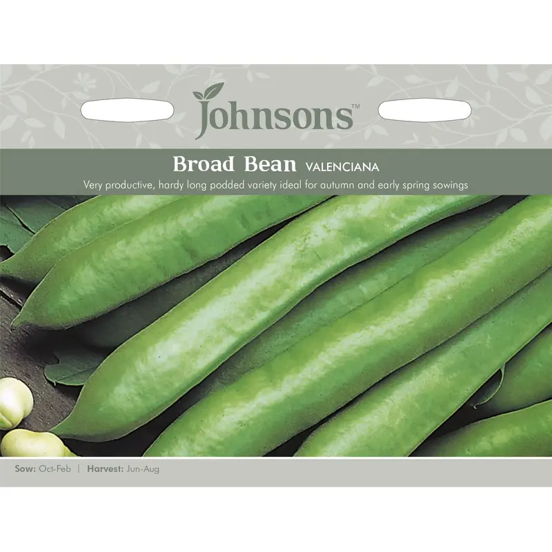 Johnsons Broad Bean Valenciana 45 Seeds