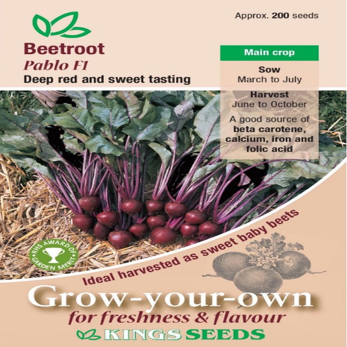 Kings Seeds Beetroot Pablo F1 Hybrid - 200 Seeds