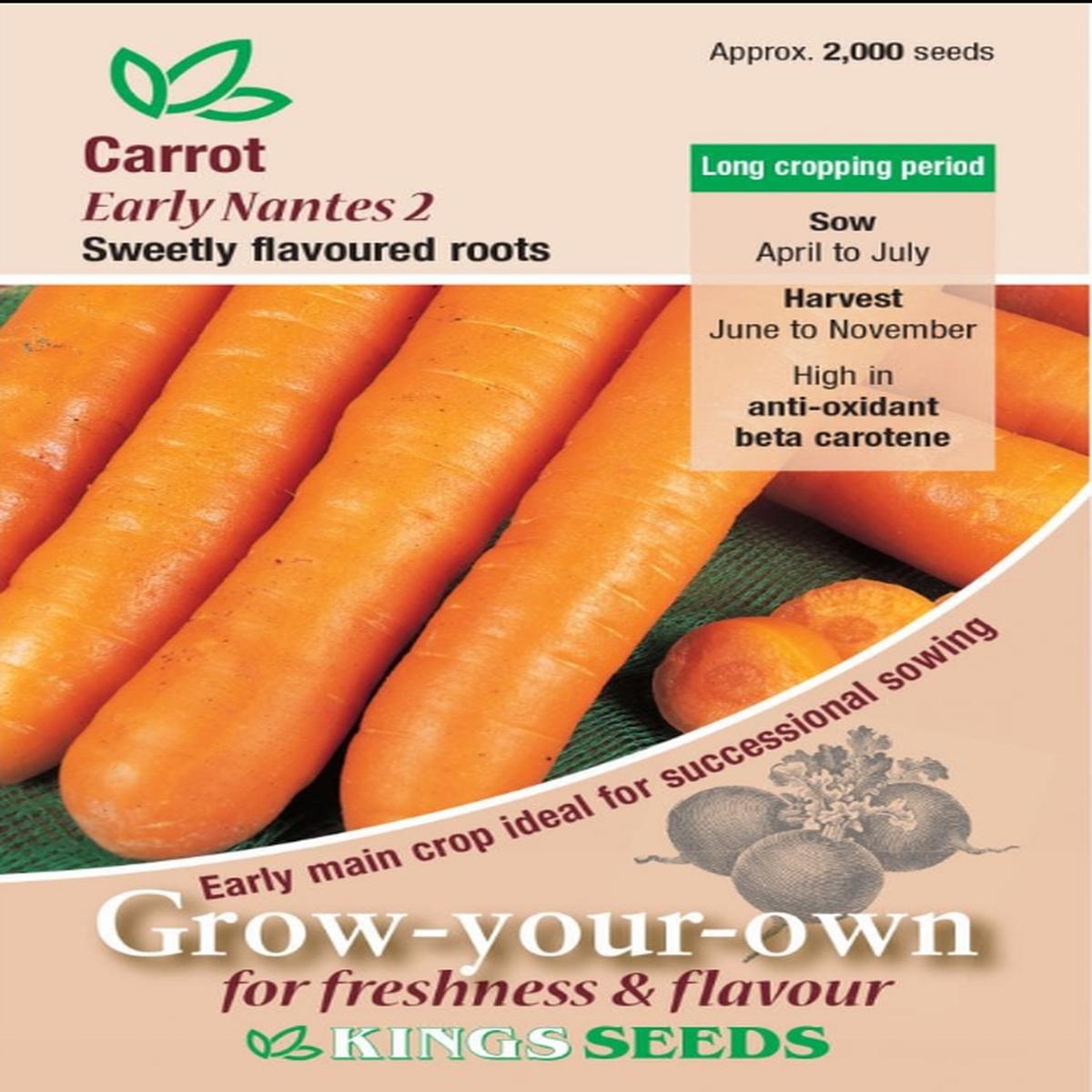 Kings Seeds Carrot Early Nantes 2000 Seeds