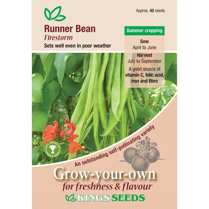 Kings Seeds Runner Bean Firestorm 40 Seeds