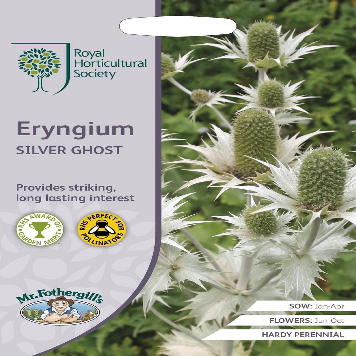 Mr Fothergills RHS Eryngium Silver Ghost 50 Seeds