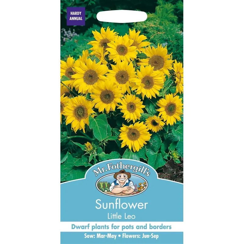 Mr Fothergills Sunflower Little Leo 25 Seeds