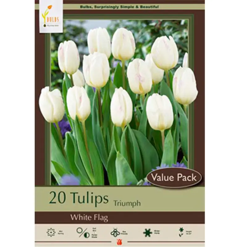 Netherland Bulb Co., Tulip White Flag Value Pack