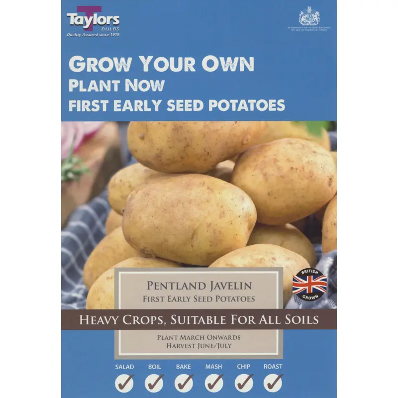 Seed Potatoes Pentland Javelin 10 Tubers First Early