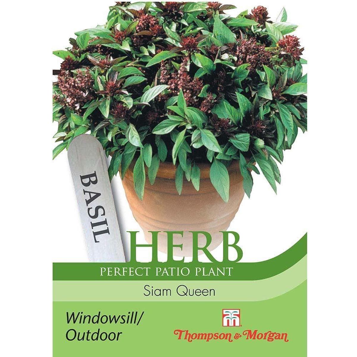 Thompson & Morgan Basil Siam Queen 75 Seed