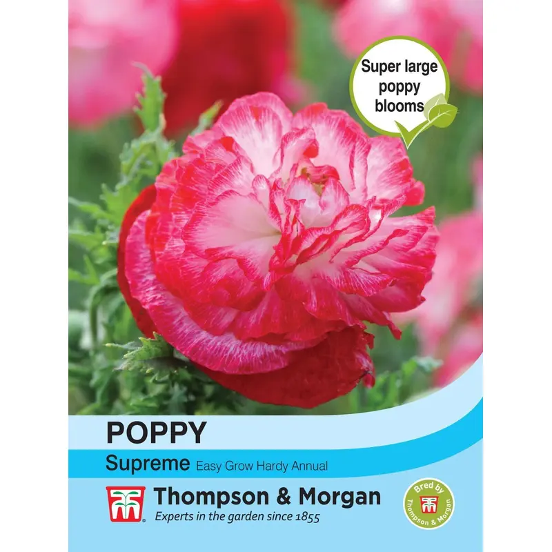 Thompson & Morgan - Flower - Poppy - Supreme - 300 Seeds