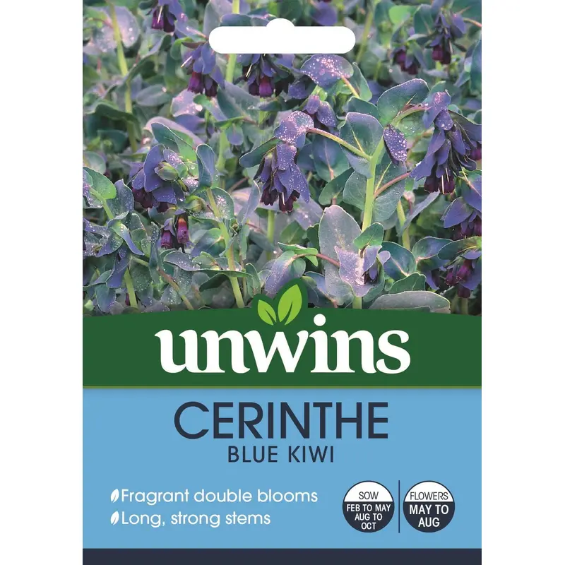 Unwins Cerinthe Blue Kiwi 20 Seeds