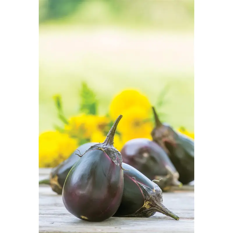 Aubergine Meatball Seeds