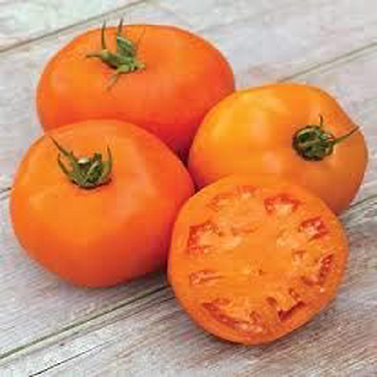 Big Orange Tomato Seeds for Planting - Heirloom, Non-GMO, Organic Garden Seeds for Vibrant Summer Harvests