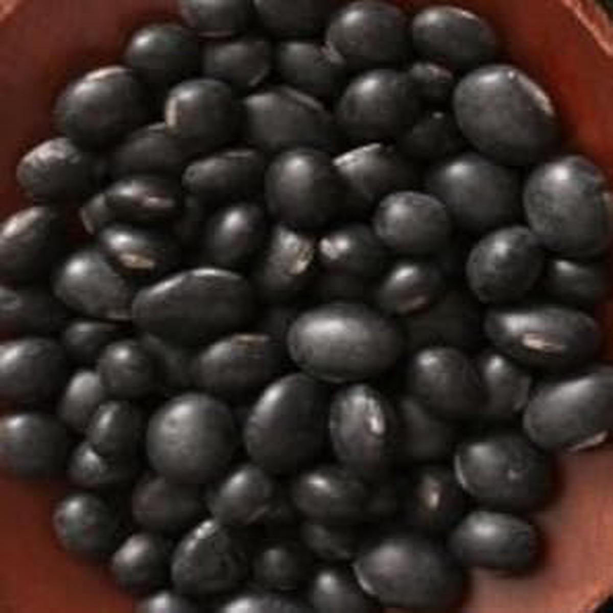 Black Soybean Seeds for Planting Heirloom, Non-GMO, High Germination Organic Garden Seeds