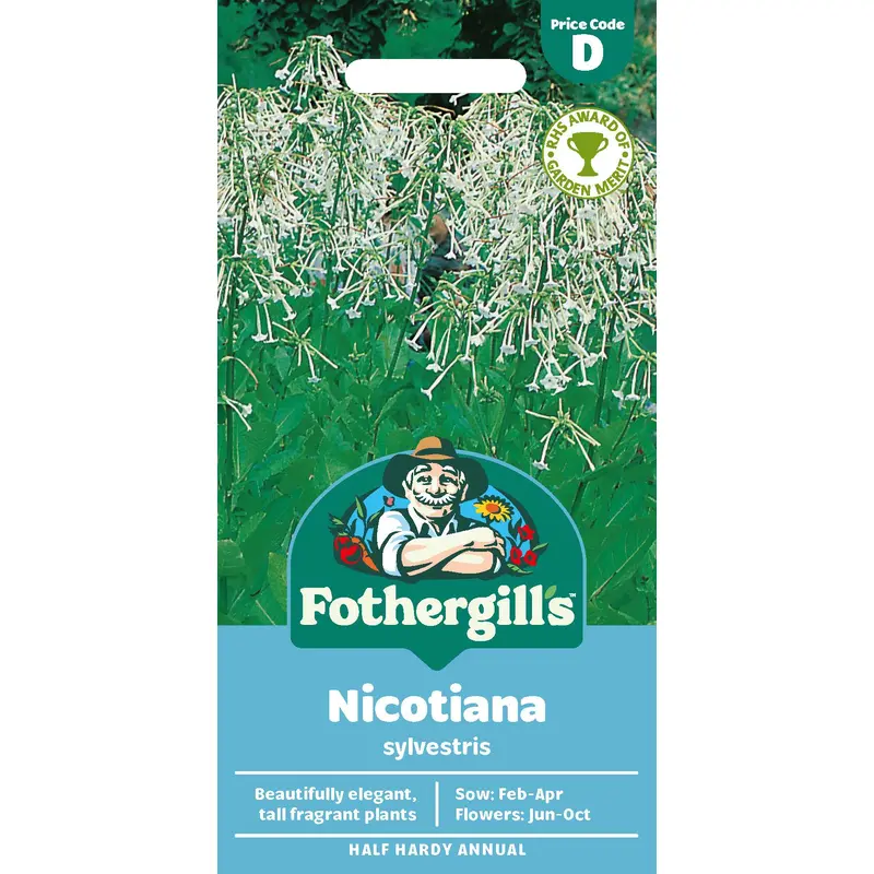 Fothergills Nicotiana Sylvestris Seeds