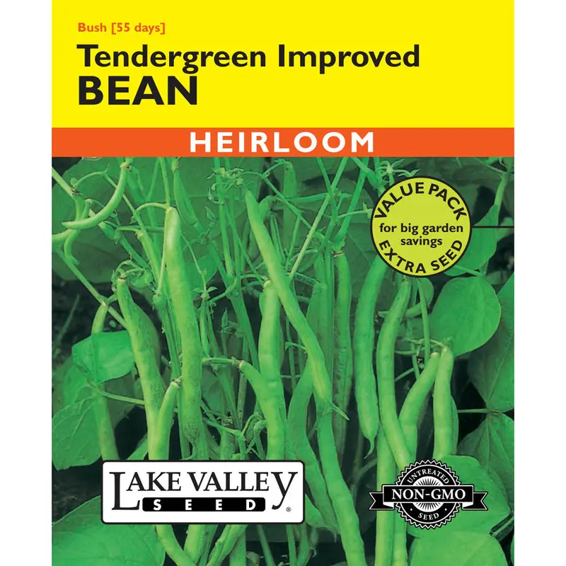 Lake Valley, Bean (Bush), Tendergreen Improved