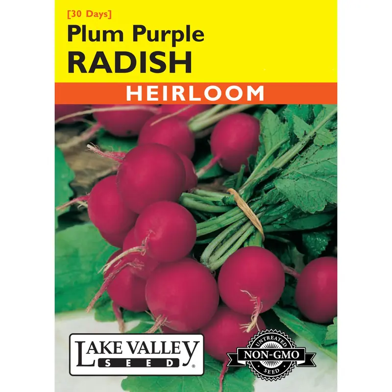 Lake Valley, Radish, Plum Purple