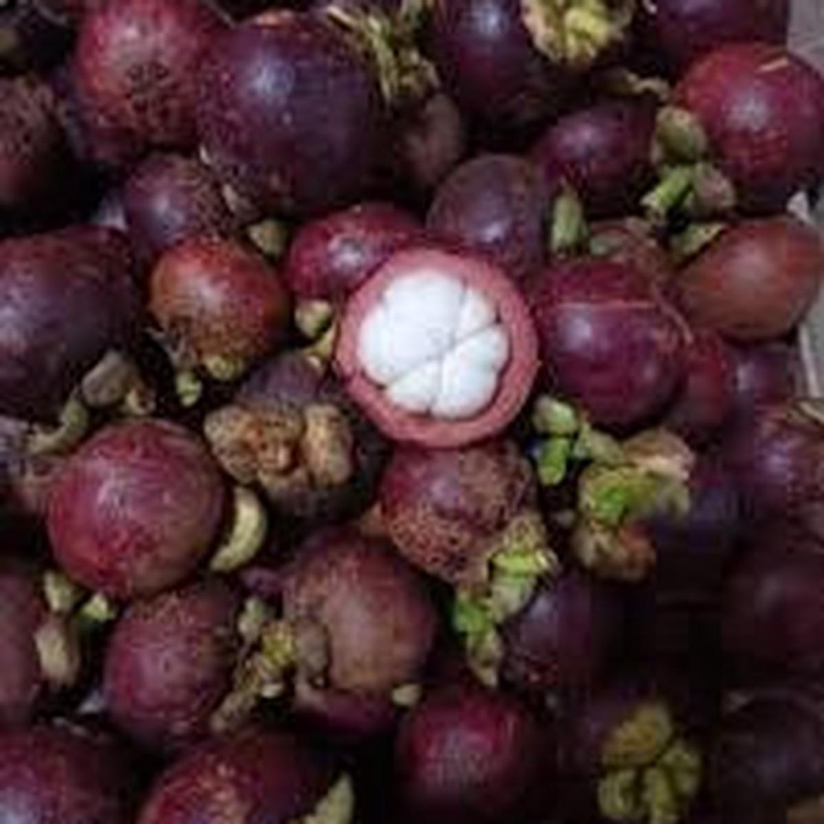 Mangosteen fruit seeds for planting  Heirloom & Non-GMO garden seeds, exotic sweet tropical fruit variety