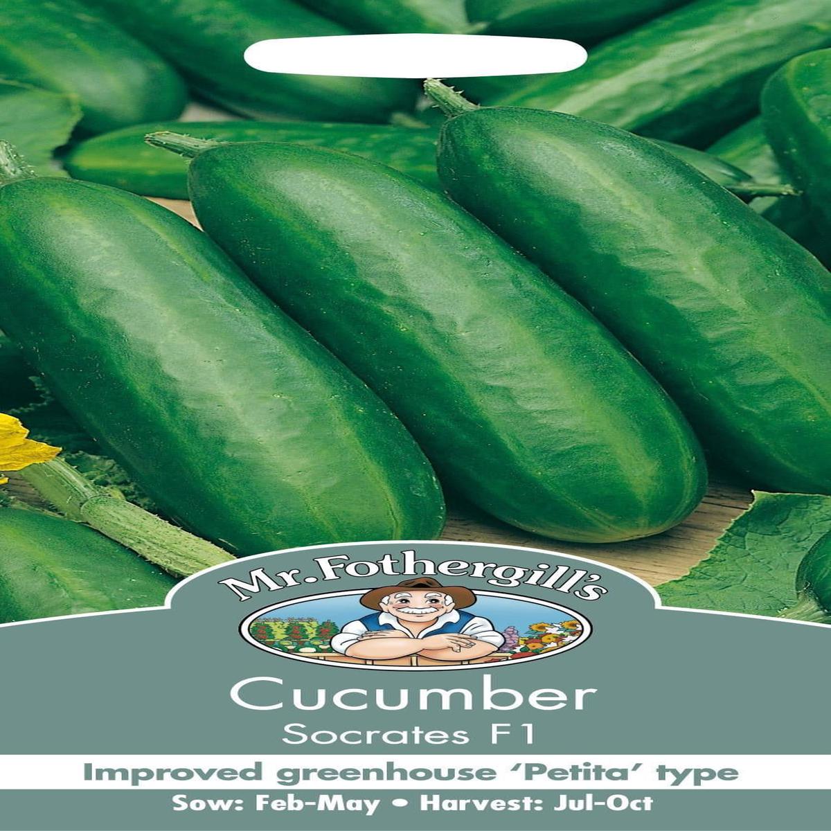 Mr Fothergills Cucumber Socrates F1 5 Seeds
