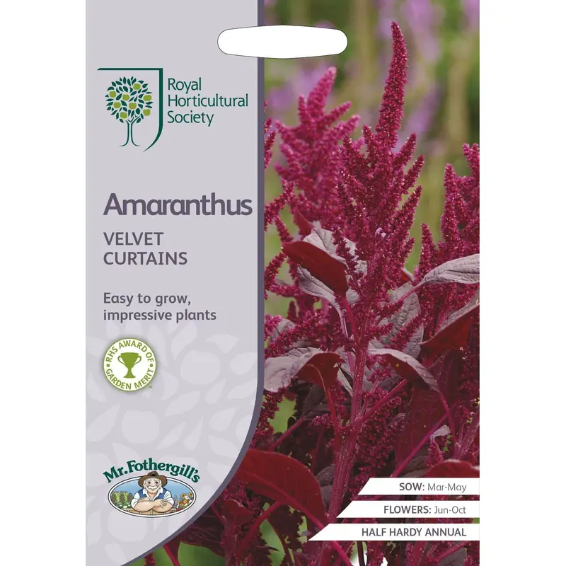 Mr Fothergills RHS Amaranthus Velvet Curtains 1500 Seeds