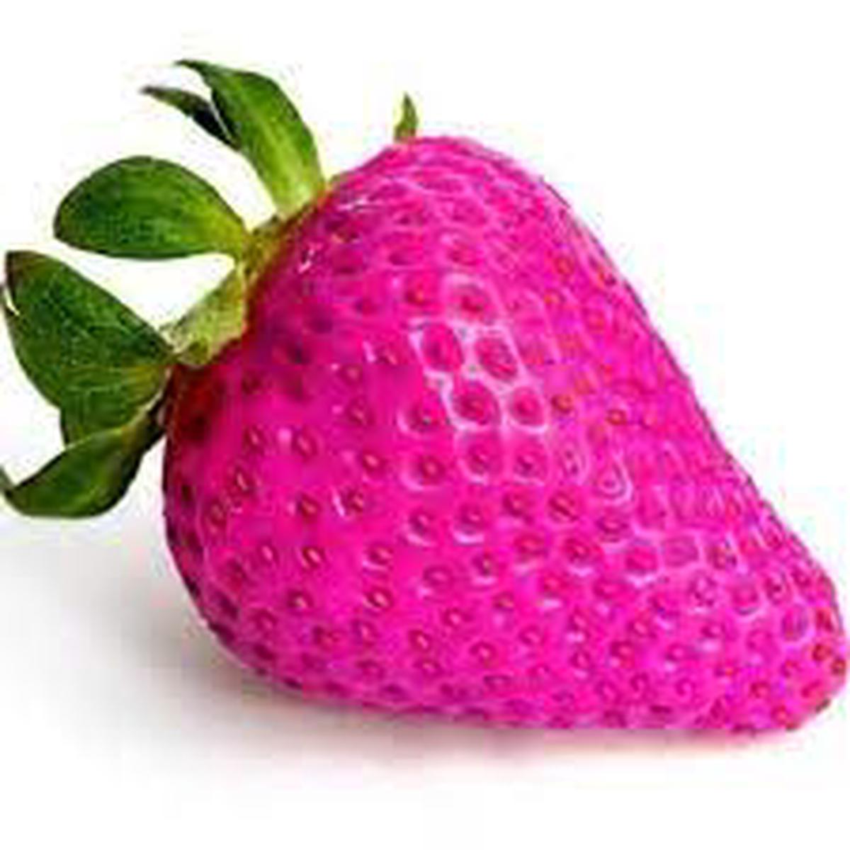 Pink Strawberry Fruit Seeds for Planting Heirloom, Non-GMO, High Germination Organic Garden Seeds