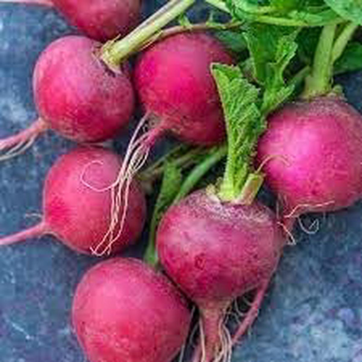 Radish Cherry Belle Seeds Fast-Growing Heirloom Vegetable for Home Gardens
