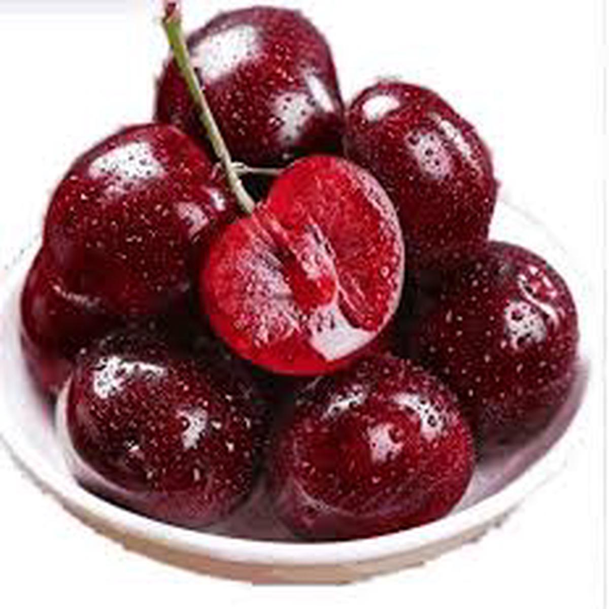 Rainier Sour Cherry fruit seeds for planting - Heirloom & Non-GMO Garden seeds