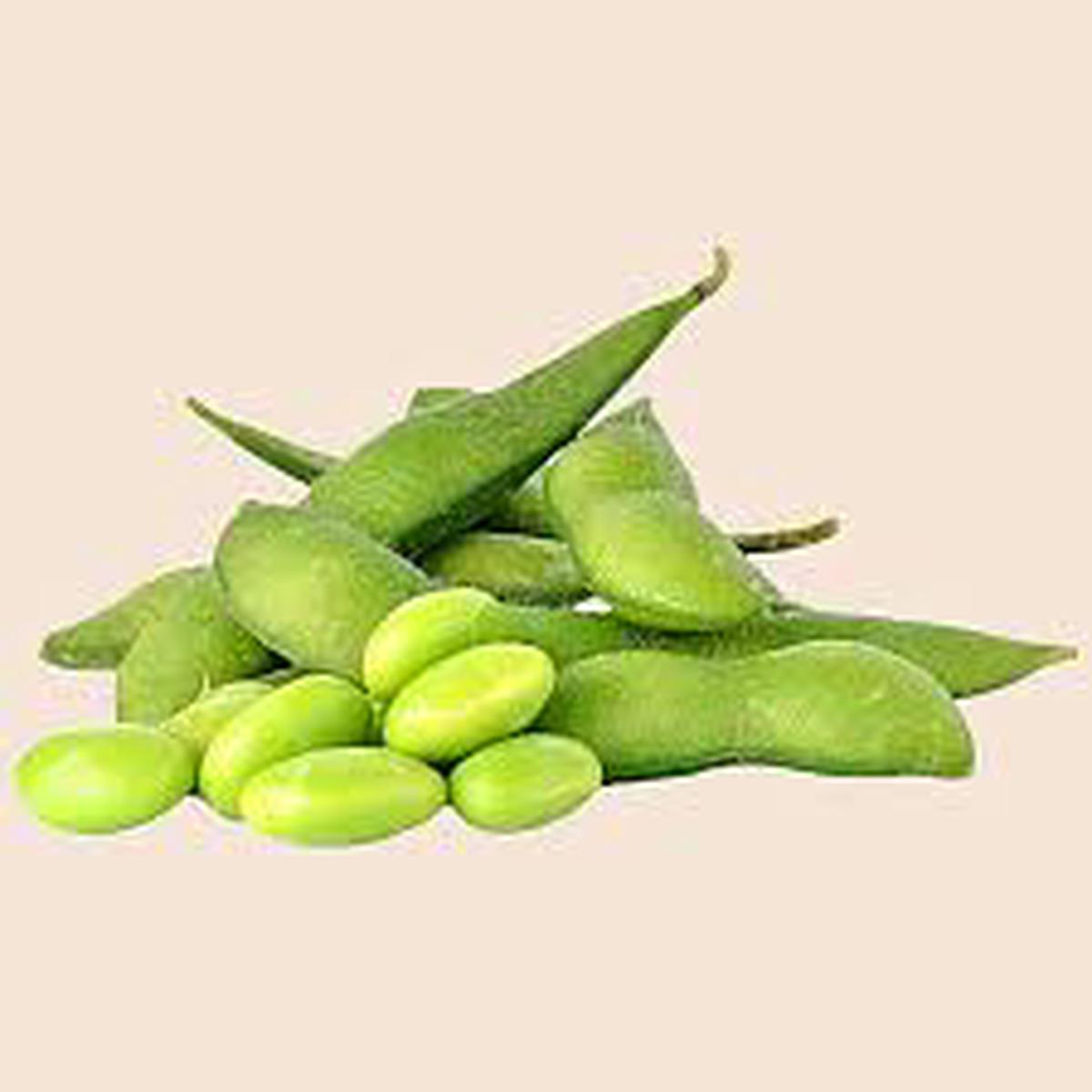Soybean Vegetable Seeds for Planting Heirloom Non-GMO High Germination Seeds for Organic Gardens